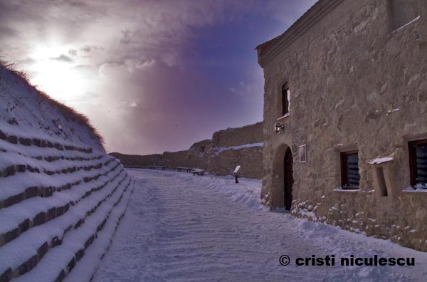 Foto: Cristi Niculescu