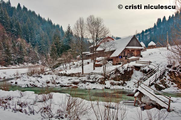 Foto: Cristi Niculescu