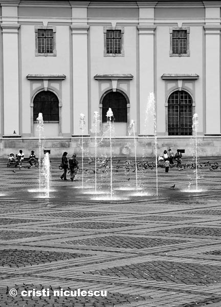 Foto: Cristi Niculescu