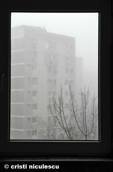 Foto: Cristi Niculescu