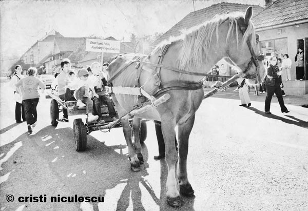 Foto: Cristi Niculescu