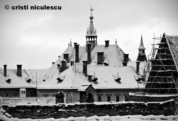 Foto: Cristi Niculescu