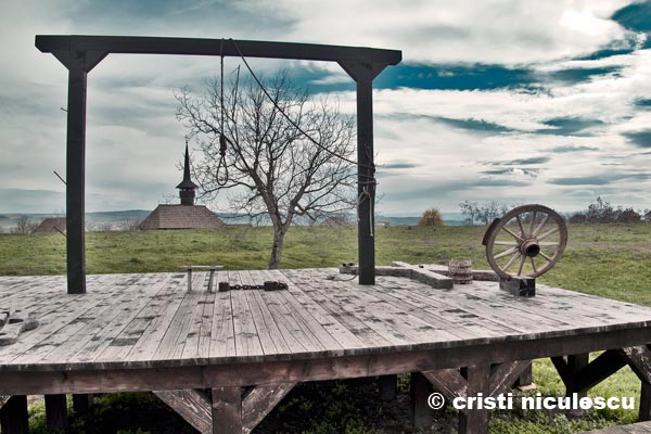 Foto: Cristi Niculescu