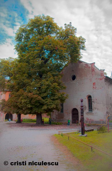 Foto: Cristi Niculescu