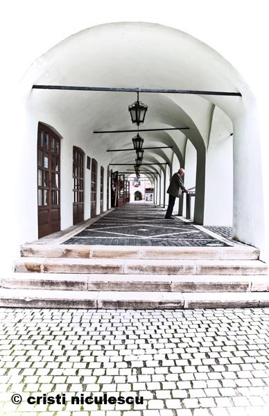 Foto: Cristi Niculescu