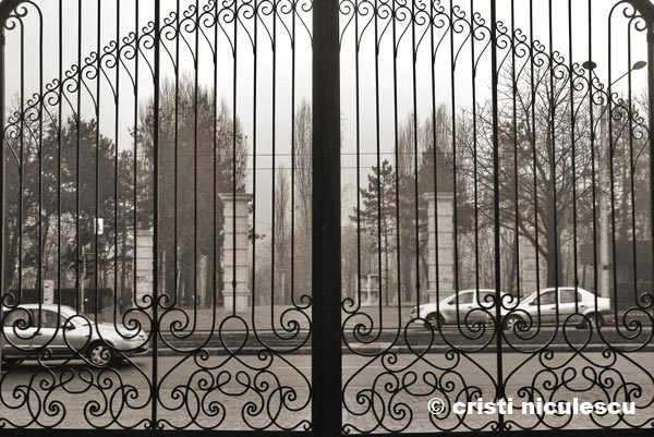 Foto: Cristi Niculescu