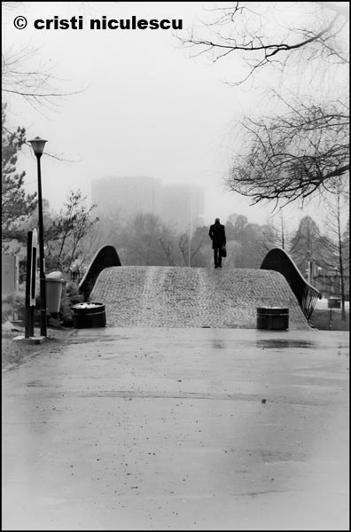 Foto: Cristi Niculescu