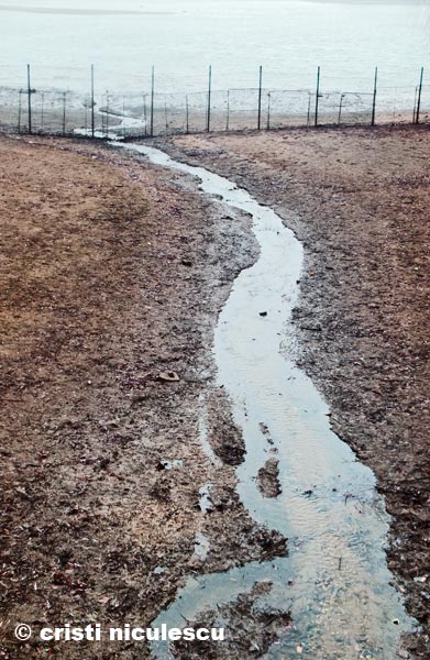 Foto: Cristi Niculescu