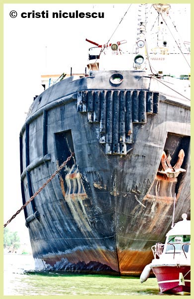 Foto: Cristi Niculescu