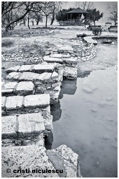 Foto: Cristi Niculescu