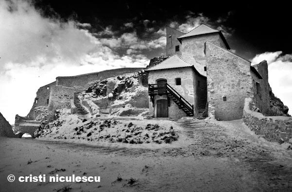 Foto: Cristi Niculescu