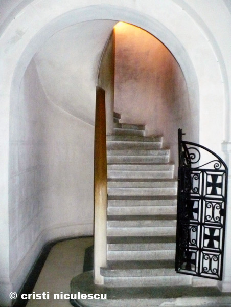 Foto: Cristi Niculescu