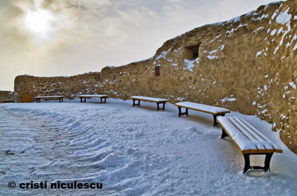 Foto: Cristi Niculescu