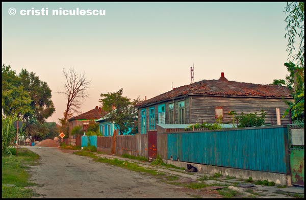 Foto: Cristi Niculescu