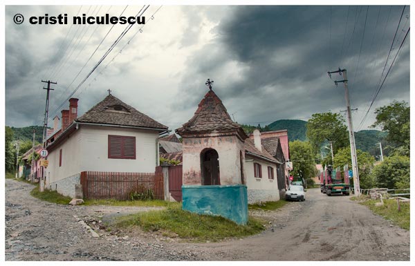 Foto: Cristi Niculescu