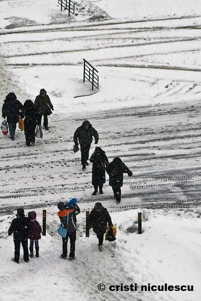 Foto: Cristi Niculescu