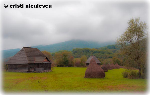 Foto: Cristi Niculescu