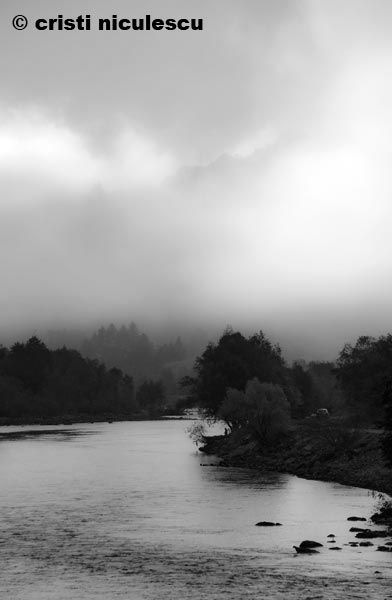 Foto: Cristi Niculescu