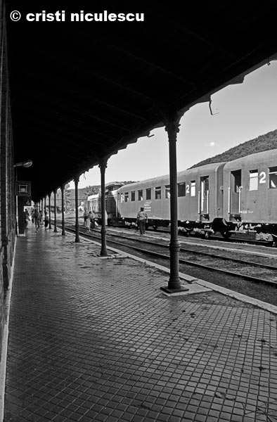 Foto: Cristi Niculescu