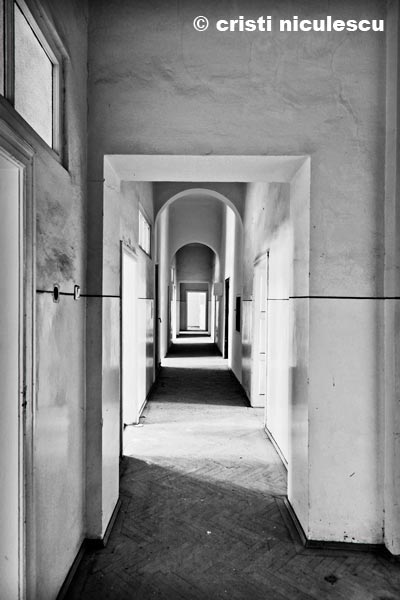 Foto: Cristi Niculescu