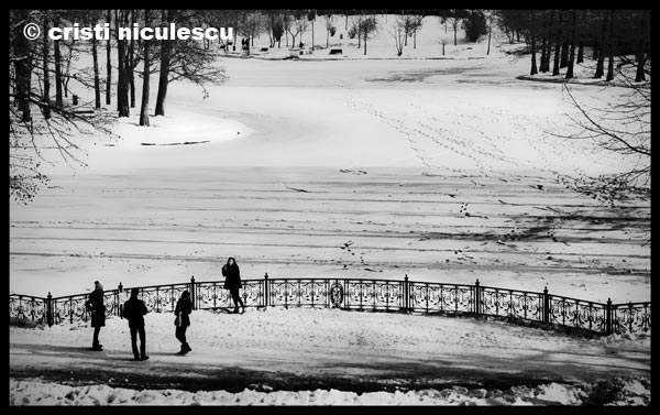 Foto: Cristi Niculescu