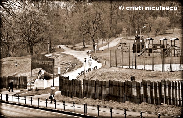 Foto: Cristi Niculescu