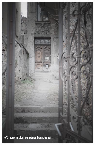 Foto: Cristi Niculescu