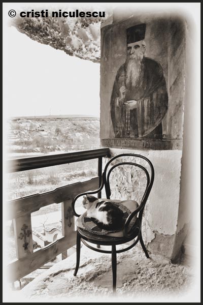 Foto: Cristi Niculescu