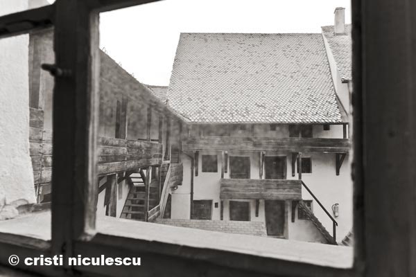 Foto: Cristi Niculescu