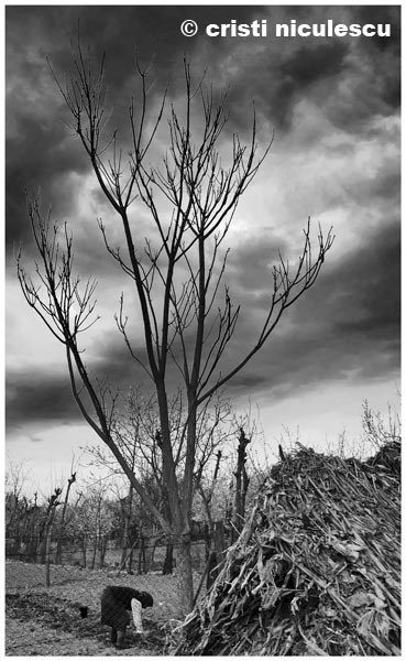 Foto: Cristi Niculescu