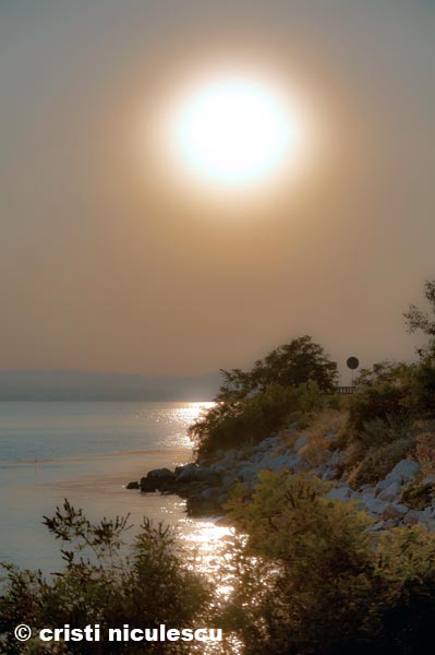 Foto: Cristi Niculescu