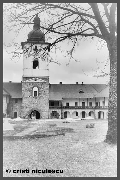 Foto: Cristi Niculescu