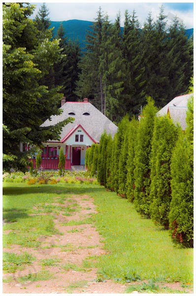 Foto: Cristi Niculescu