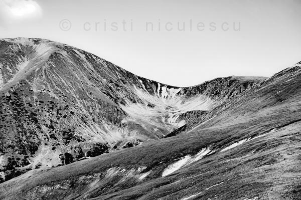 Foto: Cristi Niculescu