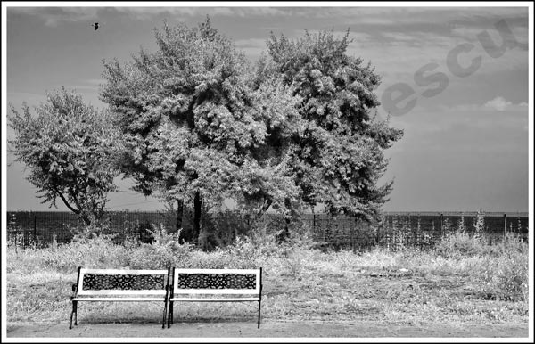 Foto: Cristi Niculescu