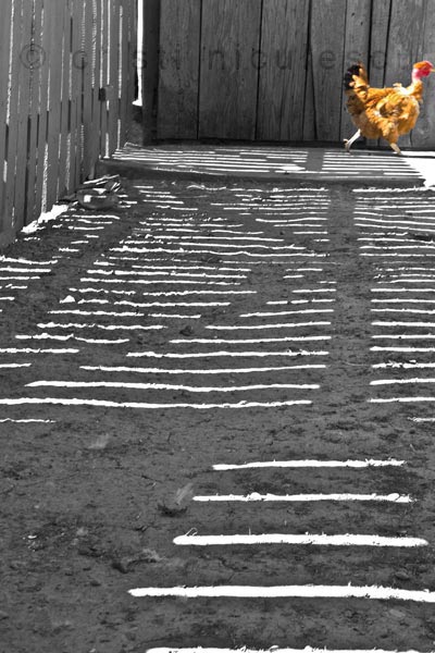 Foto: Cristi Niculescu