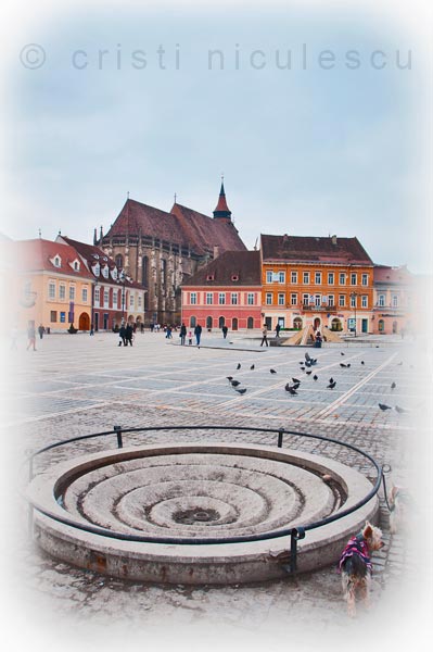 Foto: Cristi Niculescu