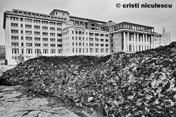 Foto: Cristi Niculescu