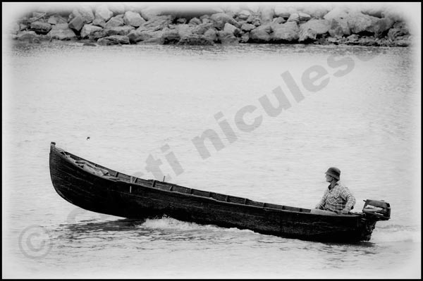 Foto: Cristi Niculescu