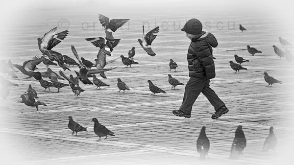 Foto: Cristi Niculescu