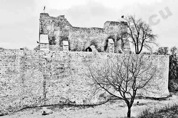 Foto: Cristi Niculescu