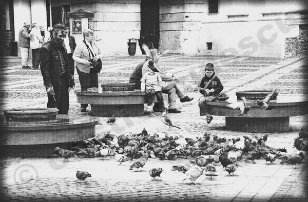 Foto: Cristi Niculescu