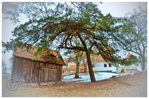 Foto: Cristi Niculescu