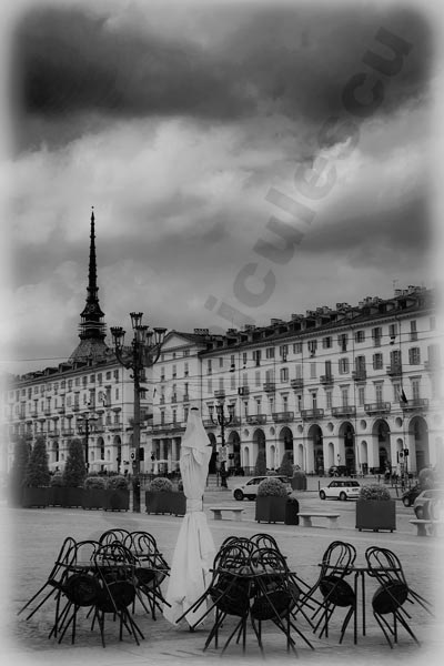 Foto: Cristi Niculescu