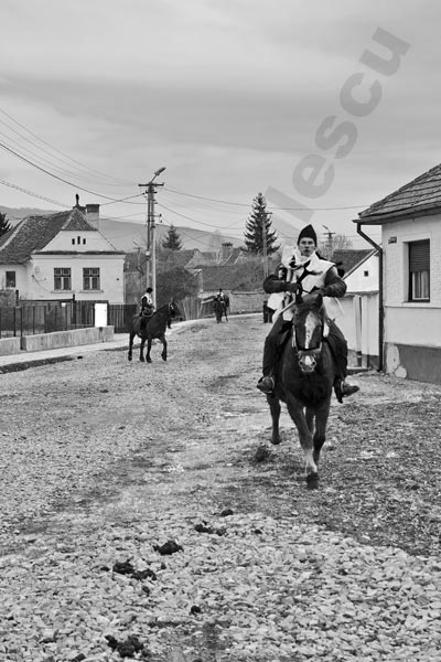 Foto: Cristi Niculescu