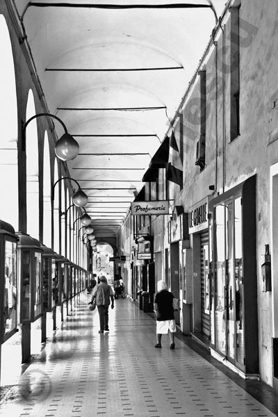 Foto: Cristi Niculescu