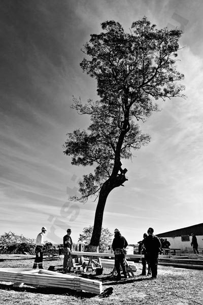 Foto: Cristi Niculescu