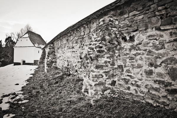 Foto: Cristi Niculescu