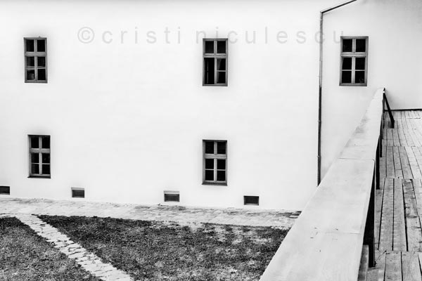 Foto: Cristi Niculescu