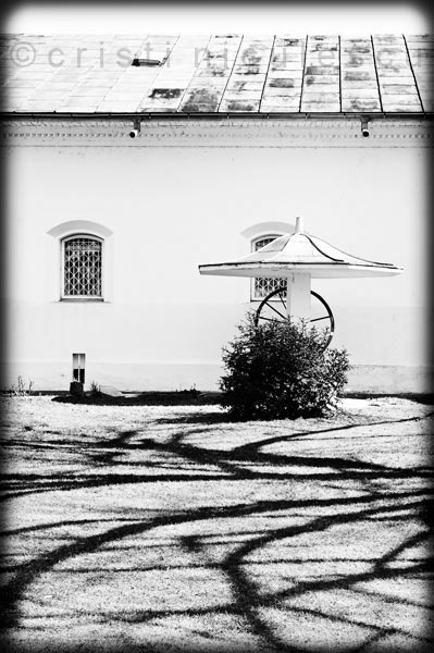 Foto: Cristi Niculescu